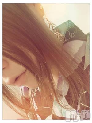 ܱХ顦֥ ץ ( ץ ޥĥ) 85̥֥֡65