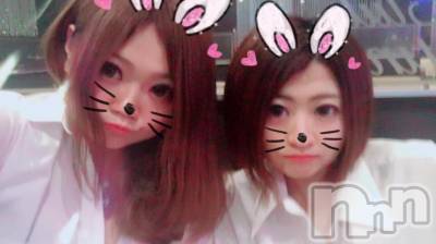 ܱХ顦֥ ץ ( ץ ޥĥ) 91̥֥֡77