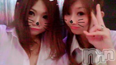 ܱХ顦֥ ץ ( ץ ޥĥ) 917̥֥֡85