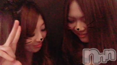 ܱХ顦֥ ץ ( ץ ޥĥ) 1013̥֥֡95