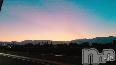 ܱХ顦֥ ץ ( ץ ޥĥ) 116̥֥֡106