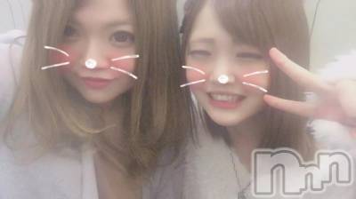 ܱХ顦֥ ץ ( ץ ޥĥ) 1126̥֥֡113