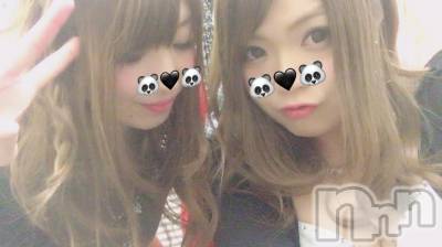 ܱХ顦֥ ץ ( ץ ޥĥ) 115̥֥֡132