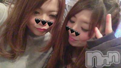 ܱХ顦֥ ץ ( ץ ޥĥ) 217̥֥֡144