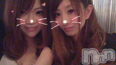 ܱХ顦֥ ץ ( ץ ޥĥ) 223̥֥֡145?