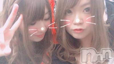 ܱХ顦֥ ץ ( ץ ޥĥ) 228̥֥֡147