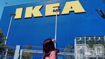 ܱХ顦֥ ץ ( ץ ޥĥ) 328̥֥֡155