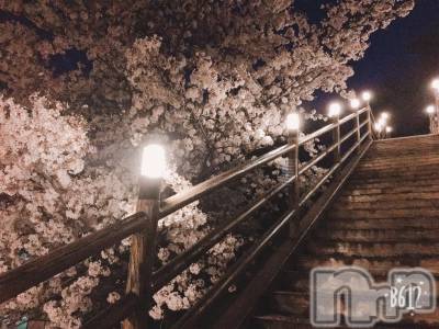 ܱХ顦֥ ץ ( ץ ޥĥ) 423̥֥֡158