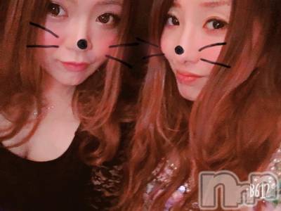 ܱХ顦֥ ץ ( ץ ޥĥ) 52̥֥֡160