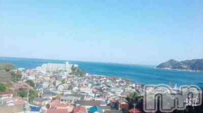 ܱХ顦֥ ץ ( ץ ޥĥ) 72̥֥֡172