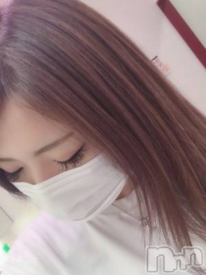 ܱХ顦֥ ץ ( ץ ޥĥ) 66̥֥֡236