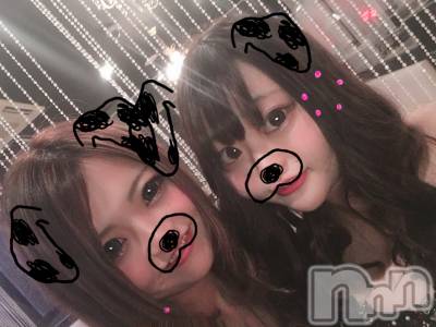 ܱХ顦֥ ץ ( ץ ޥĥ) 613̥֥֡238