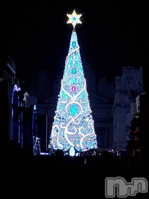 ܱХ顦֥ ץ ( ץ ޥĥ) 1224̥֥֡284