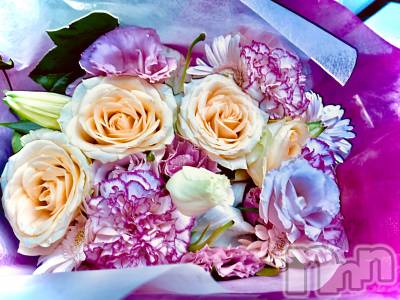 ܱХ顦֥ ץ ( ץ ޥĥ) 91̥֥֡312