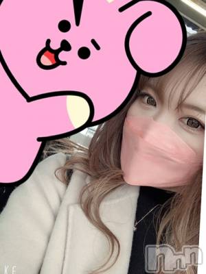 ܱХ顦֥ ץ ( ץ ޥĥ) 310̥֥֡365