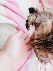 長野デリヘル長野市派遣型本格アロマエステ　Lounge(ナガノシハケンガタホンカクアロマエステ　ラウンジ) るみ(25)の1月30日写メブログ「面白い☆」