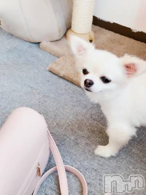 長野デリヘル 長野市派遣型本格アロマエステ　Lounge(ナガノシハケンガタホンカクアロマエステ　ラウンジ) るみ(25)の6月30日写メブログ「きゅん//」