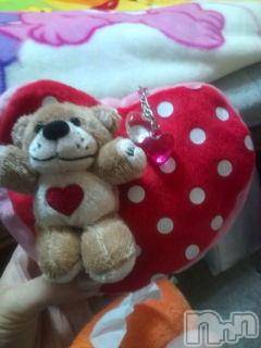 ĥʥå륺СݿξСޤޤ(ɥ󥷥祯祦ޥޥ) ߡ31̥֥Suzy's zoo