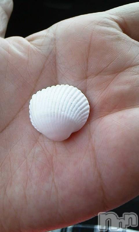 ĥʥå륺СݿξСޤޤ(ɥ󥷥祯祦ޥޥ) ߡ613ֳ̥֥-