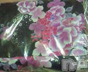 ĥʥå륺СݿξСޤޤ(ɥ󥷥祯祦ޥޥ) ߡ713̥֥NEW
