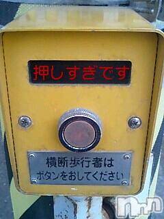 ĥʥå륺СݿξСޤޤ(ɥ󥷥祯祦ޥޥ) ߡ1026̥֥֤?