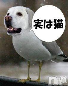 ĥʥå륺СݿξСޤޤ(ɥ󥷥祯祦ޥޥ) ߡ1026̥֥Ѥʡ