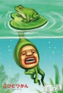 ĥʥå륺СݿξСޤޤ(ɥ󥷥祯祦ޥޥ) ߡ17̥֥֤Ĥġ