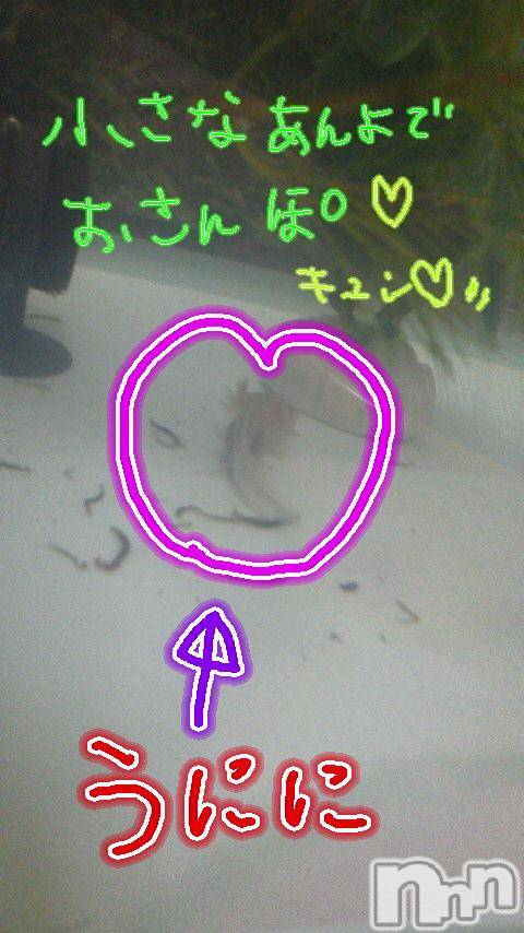 ĥʥå륺СݿξСޤޤ(ɥ󥷥祯祦ޥޥ) ߡ228̥֥֤ˤ