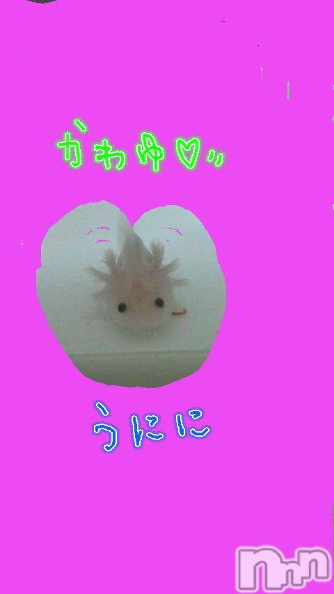 ĥʥå륺СݿξСޤޤ(ɥ󥷥祯祦ޥޥ) ߡ228̥֥֤ߤƤġ