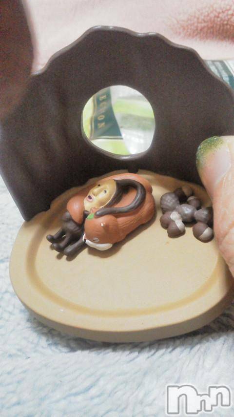 ĥʥå륺СݿξСޤޤ(ɥ󥷥祯祦ޥޥ) ߡ322̥֥֤ӤȤŤ