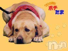 ĥʥå륺СݿξСޤޤ(ɥ󥷥祯祦ޥޥ) ߡ121̥֥֡ĥݥޡġ
