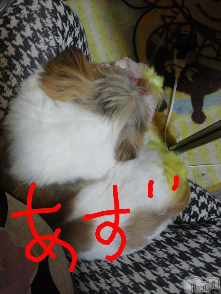 ĥʥå륺СݿξСޤޤ(ɥ󥷥祯祦ޥޥ) ߡ1226̥֥֡ĤϤ褦ġ