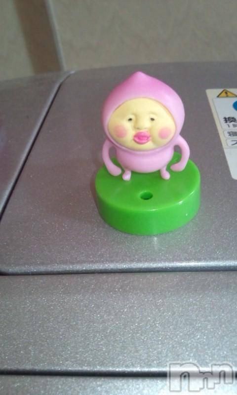 ĥʥå륺СݿξСޤޤ(ɥ󥷥祯祦ޥޥ) ߡ216̥֥֡ĤäƤġ