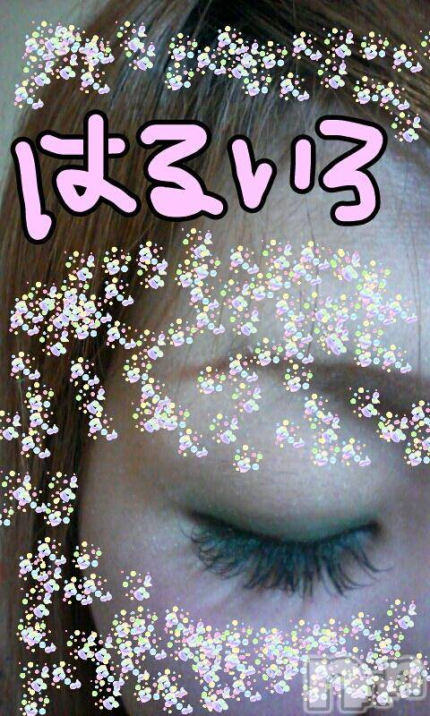 ĥʥå륺СݿξСޤޤ(ɥ󥷥祯祦ޥޥ) ߡ53̥֥֡Ľտġ