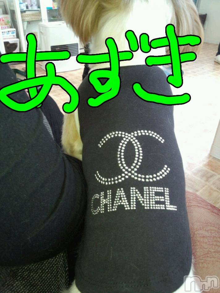 ĥʥå륺СݿξСޤޤ(ɥ󥷥祯祦ޥޥ) ߡ129̥֥֡CHANELġ