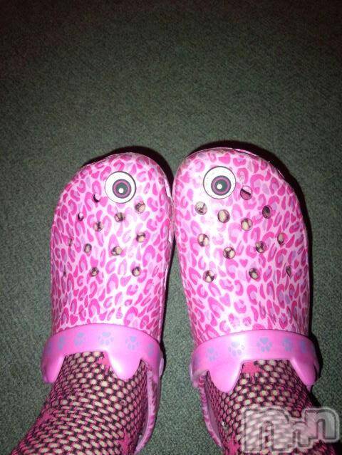 ĥʥå륺СݿξСޤޤ(ɥ󥷥祯祦ޥޥ) ߡ424̥֥֡Mycrocsġ