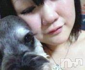 ĥʥå륺СݿξСޤޤ(ɥ󥷥祯祦ޥޥ) 2010ǯ716ֵ̥֥äƤ