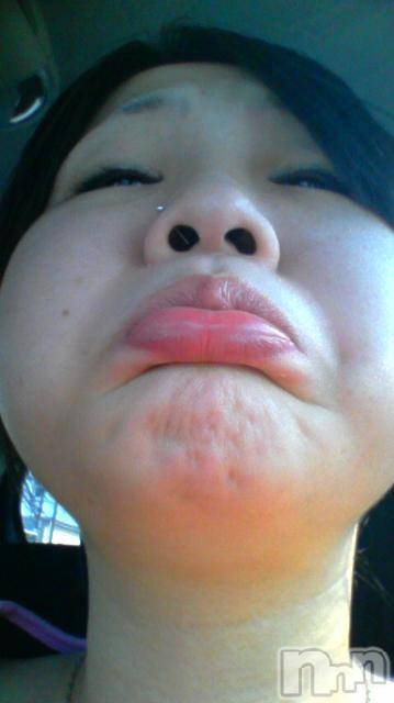 ĥʥå륺СݿξСޤޤ(ɥ󥷥祯祦ޥޥ) 2010ǯ828̥֥֤ա
