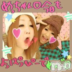 ĥʥå륺СݿξСޤޤ(ɥ󥷥祯祦ޥޥ) 2010ǯ1111̥֥֤Ϥ
