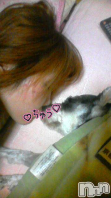 ĥʥå륺СݿξСޤޤ(ɥ󥷥祯祦ޥޥ) 2010ǯ1128̥֥chu(and⥳)