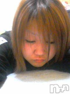 ĥʥå륺СݿξСޤޤ(ɥ󥷥祯祦ޥޥ) 2010ǯ1210̥֥֤줫