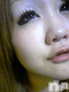 ĥʥå륺СݿξСޤޤ(ɥ󥷥祯祦ޥޥ) 2010ǯ1216̥֥֤