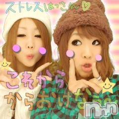 ĥʥå륺СݿξСޤޤ(ɥ󥷥祯祦ޥޥ) 2011ǯ115̥֥֤Ϥ