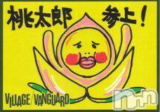 ĥʥå륺СݿξСޤޤ(ɥ󥷥祯祦ޥޥ) 2011ǯ131̥֥֤줵