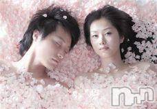 ĥʥå륺СݿξСޤޤ(ɥ󥷥祯祦ޥޥ) 2011ǯ221̥֥ɥ