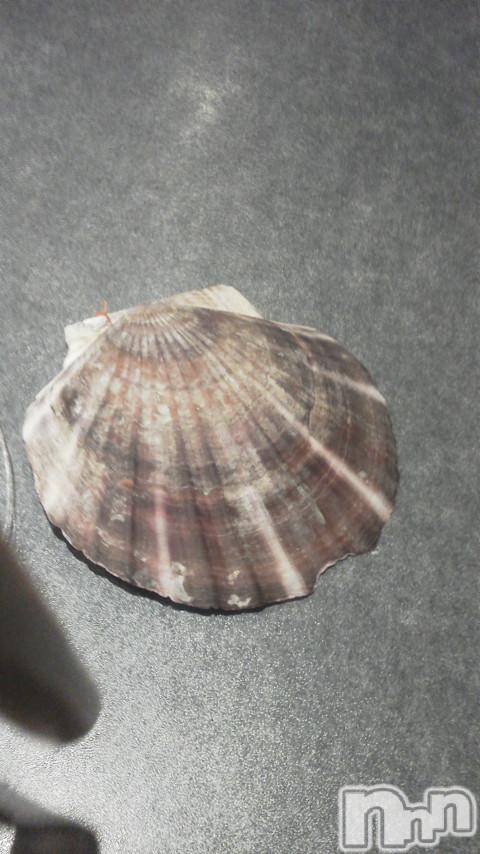 ĥʥå륺СݿξСޤޤ(ɥ󥷥祯祦ޥޥ) 2011ǯ611̥֥֡Ĳڤáġ