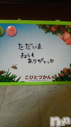 ĥʥå륺СݿξСޤޤ(ɥ󥷥祯祦ޥޥ) 2011ǯ623̥֥֡ĵġ