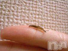 ĥʥå륺СݿξСޤޤ(ɥ󥷥祯祦ޥޥ) 2011ǯ925̥֥֡Ĥʤ᤯ġ