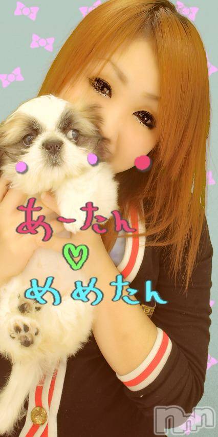 ĥʥå륺СݿξСޤޤ(ɥ󥷥祯祦ޥޥ) 2011ǯ103̥֥֡ĵפġ