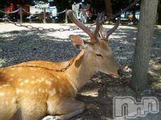 ĥʥå륺СݿξСޤޤ(ɥ󥷥祯祦ޥޥ) 2011ǯ1015̥֥֡ˤաġ